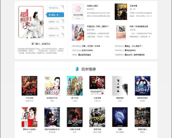 可以运营的狂雨小说CMS系统带全部插件+采集规则+模板 价值800元